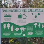 Erklärschild zu unserem Klimawald.